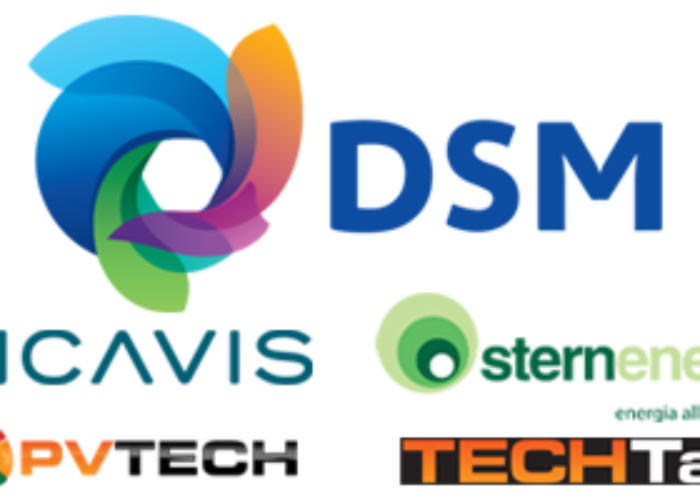 DSM_300dpi