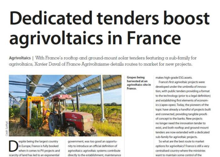 Dedicated tenders boost agrivoltaics in France
