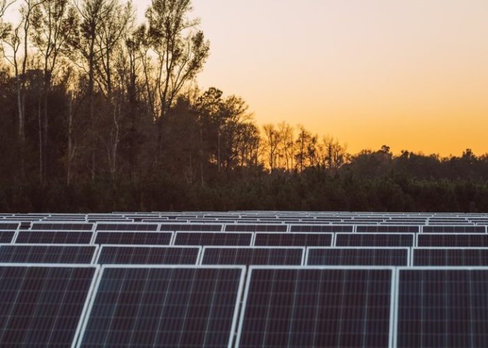 EDP Renewables’ 20MW Cameron Solar Park in South Carolina. Image: EDP Renewables via Twitter.