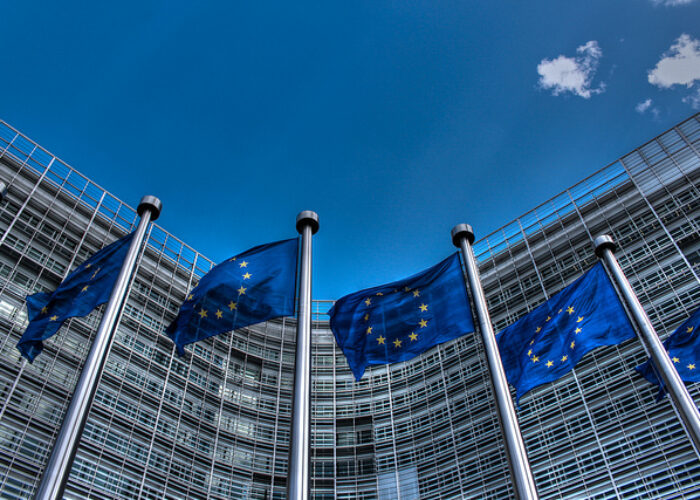 EU_flags_flickr_Thijs_ter_Haar