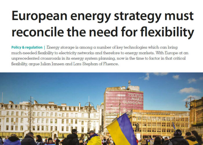 European energy strategy must reconcile the need for flexibility