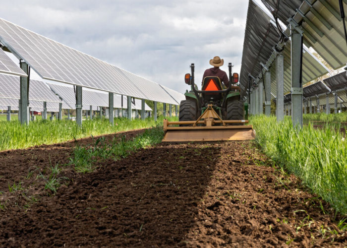 Byron Kominek, owner of Jack’s Solar Garden, tills the soil at the farm in Longmont, Colorado. Image: Werner Slocum/NREL.