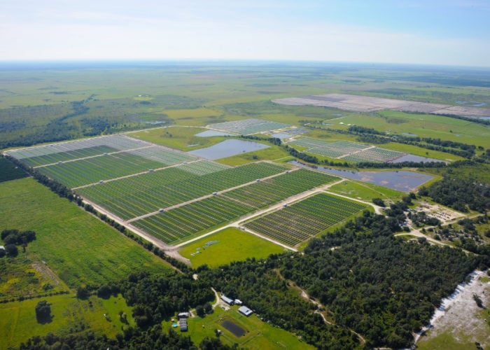 Florida_Light_and_Power_Desoto_plant_Doug_Murray_FPL_small