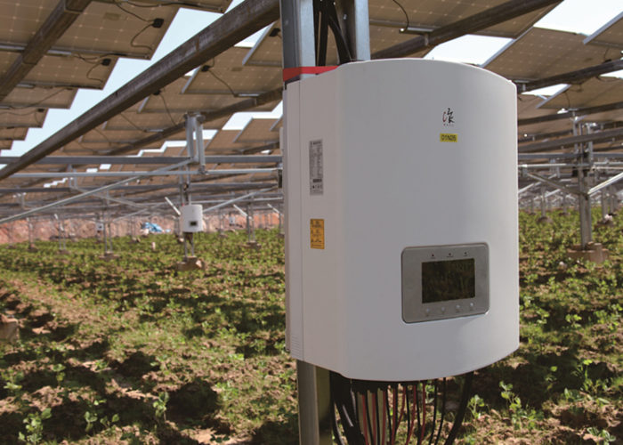 Ginlong_Solis_inverter_agrophotovoltaics_china_install