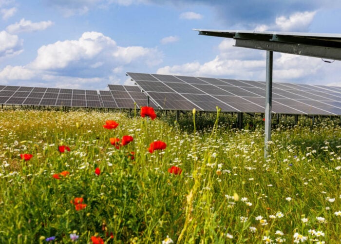 Image: Belectric