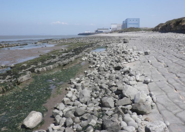 Hinkley_Point_viewed_from_the_west._Roger_Cornfoot