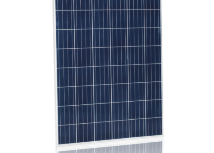JinkoSolar_signs_187MW_PV_module_agreement_with_Japans_Quantum_Power_GK