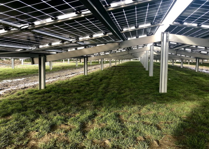 Jolywood_n-type_bifacial_plant_Netherlands_2019_1920_sized