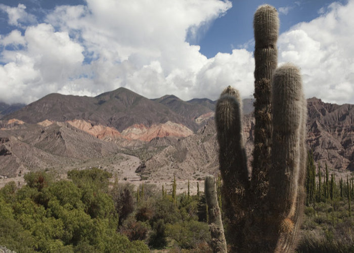 Jujuy_argentina_flickr_Bas_Wallet