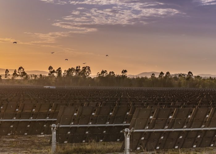 The 50MW Kidston Solar Project in the north of Queensland. Image: Genex Power.