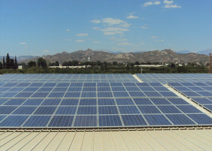 KosiFrankensolar_turkey