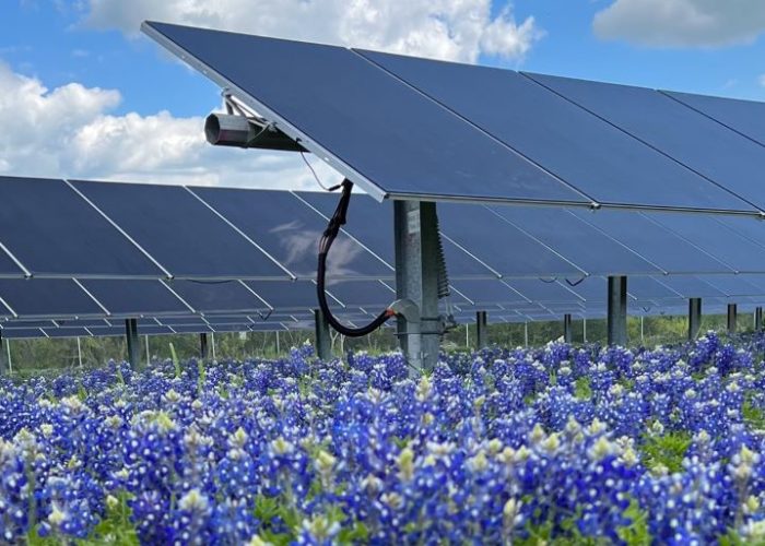 Lightsource bp 163MW solar PV plant in Texas