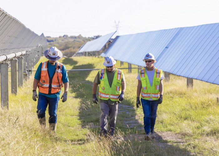 Around 50 veterans supported the construction of the Elm Branch project through an apprenticeship programme. Image: Lightsource bp.