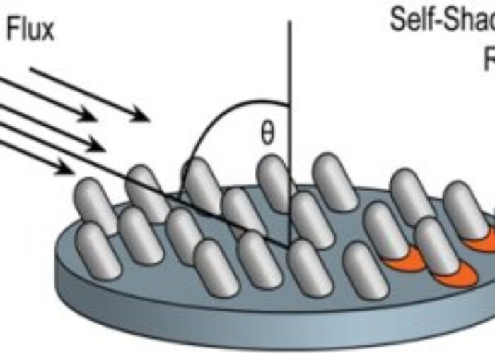 Magnolia_Solar_oblique