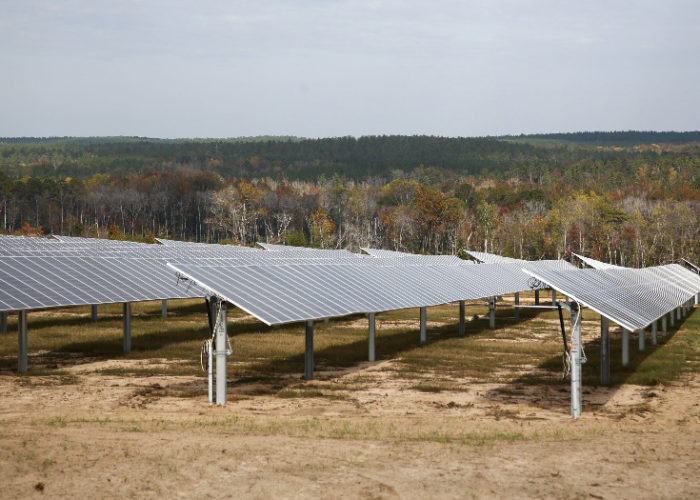 A solar PV project in South Carolina, one of the emerging US states for renewable energy. Image: Nextera