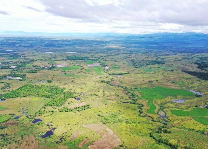 SPNEC plans to acquire 2,500 hectares for its giant PV cluster in the provinces of Nueva Ecija and Bulacan using proceeds from various capital raises. Image: Solar Philippines