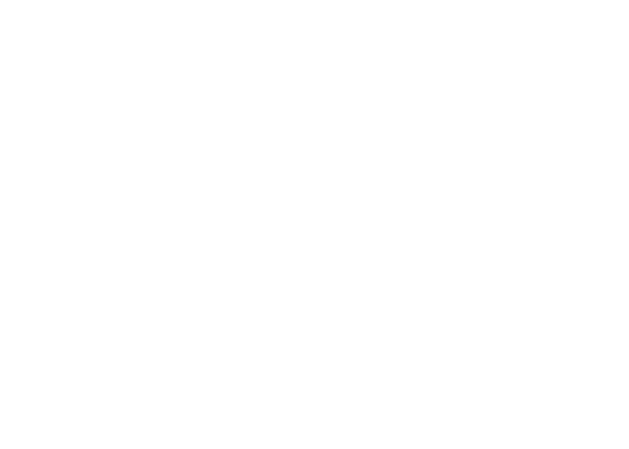 PV Celltech Conference Global NEG