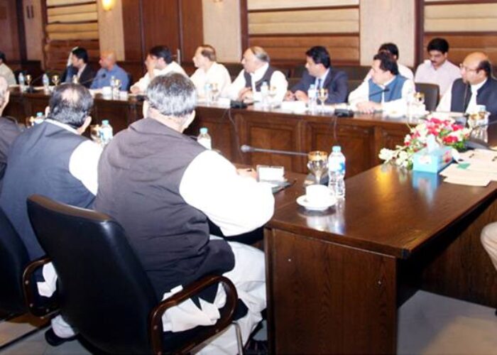 Pakistan_energy_council