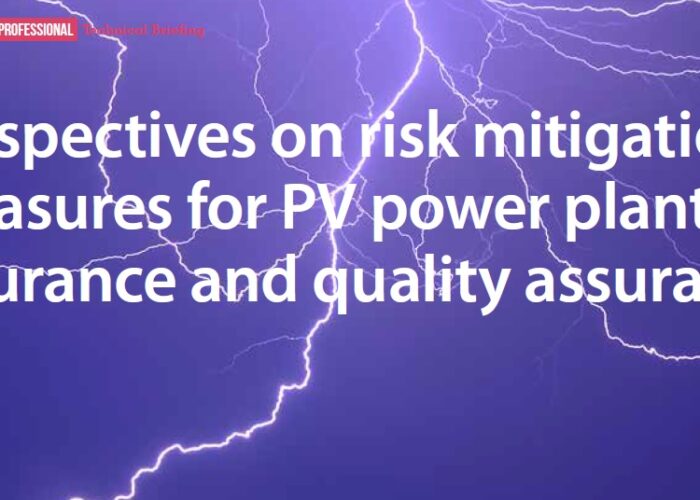 Perspectives_on_risk_mitigation