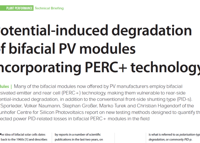 Potential-induced-degradation-of-bifacial-PV-modules