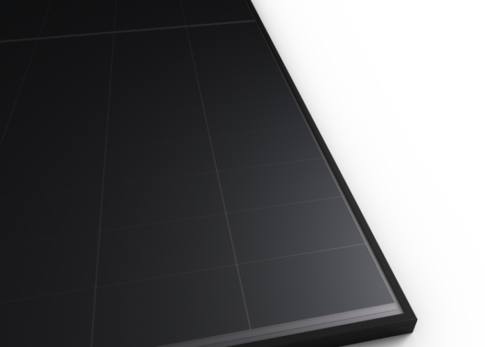 RECOM-Black-Tiger-I