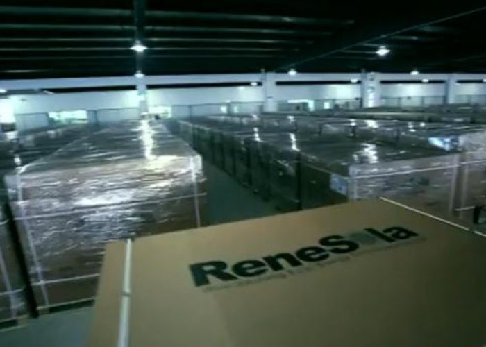 ReneSola_module_warehouse