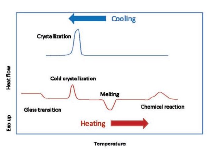 Schematic_DSC_thermogram