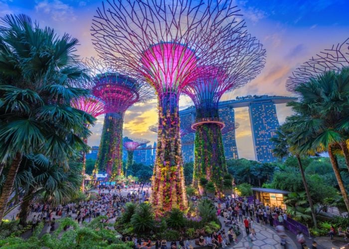 Singapore, Supertrees at Gardens by the Bay. The tree structures are fitted with photovoltaic panels. Image: Shutterstock, chanchai duangdoosan.