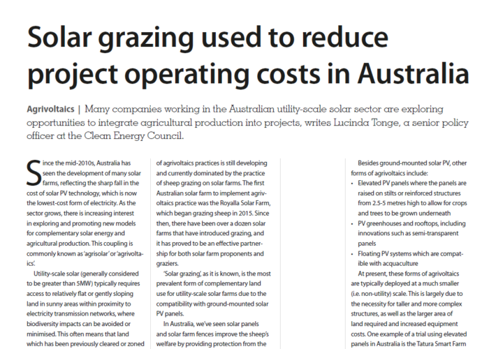 Solar grazing used to reduce project operating costs in Australia