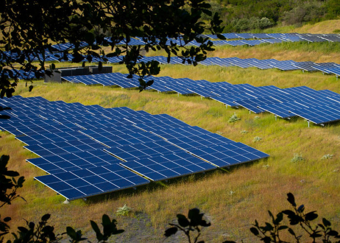 Solar_Farm_Flickr_Michael_Mees