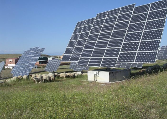 Solar_plant_in_Spain_with_sheep_-_World_Future_Council