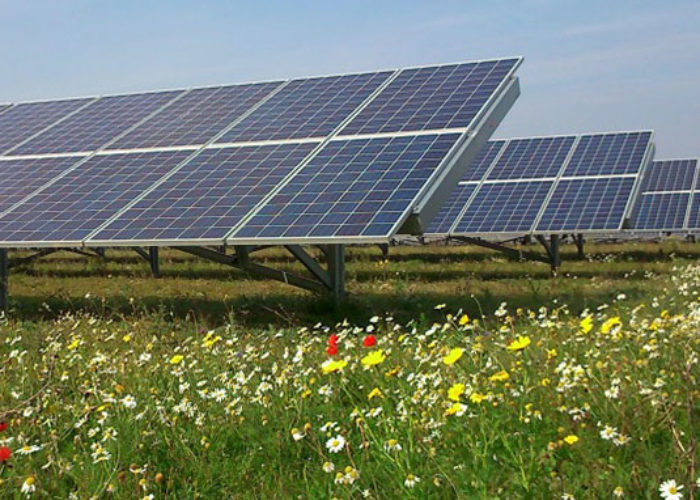Solarcentury_solar-farm