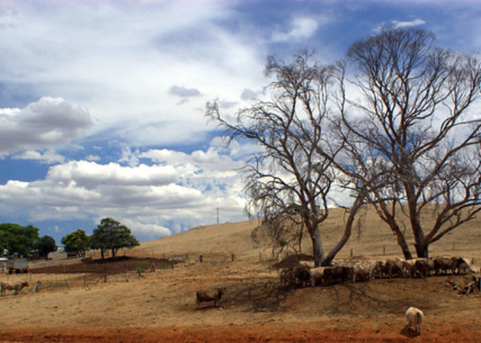 South_Australia_landscape_source_Keith_Miller_Flickr