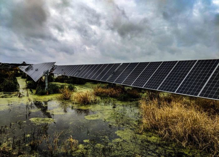 Solar panels mounted on a swamp