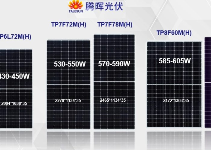 Talesun_bistar_monofacial_module_series_lrge