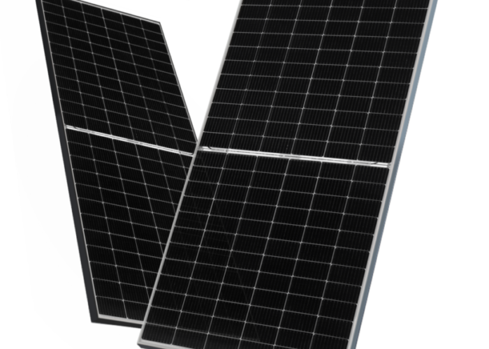 Tiger-Neo-1