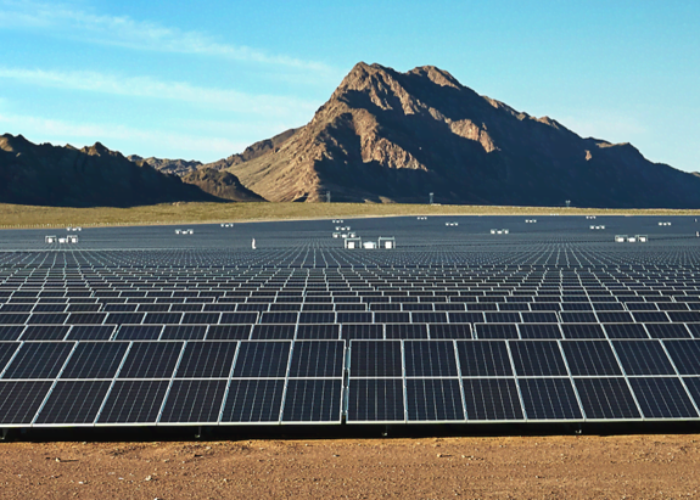 Trina Solar expects to ship 65GW of modules in 2023. Image: Trina Solar