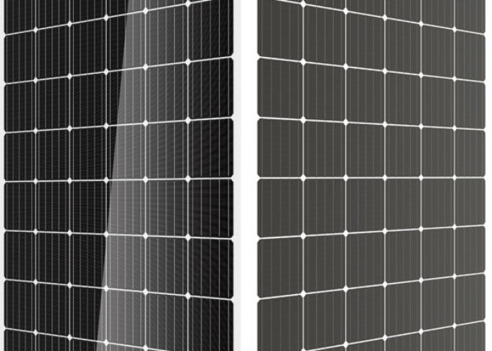 Trina_Solar_bifacial_DUOMAX_Twin_module_TSM-DEG5C.07-II