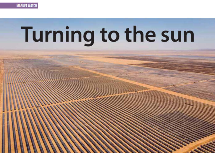 Turning-to-the-sun