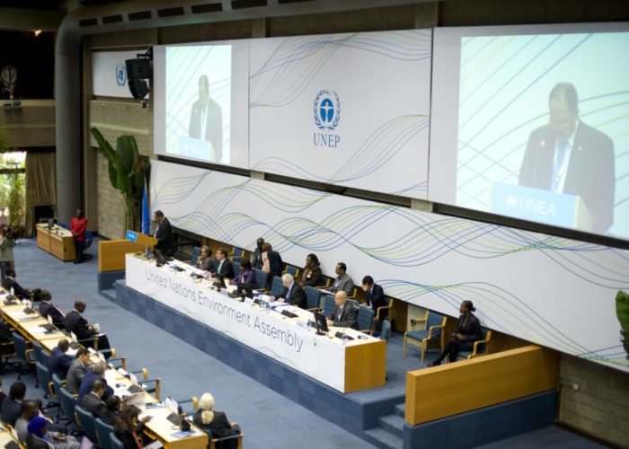UNEA_opening_conference