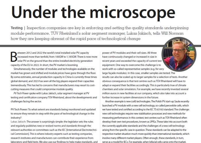 Under the microscope