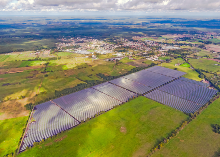 Witnica-Polish-farm-BayWa