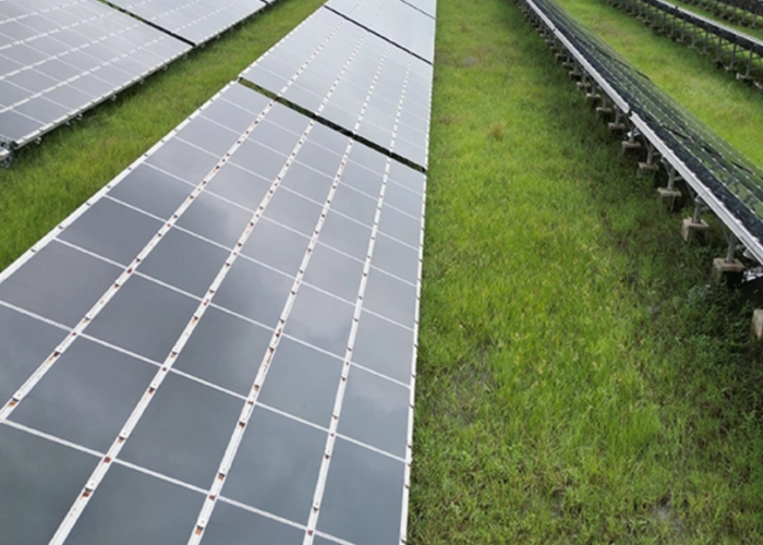 An ACME Solar project.