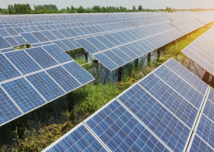 An Actis solar PV project.