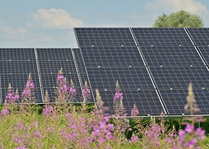 Cox’s 75.2MWp Chiquimulilla solar project in Guatemala, expected to generate 167,600MWh of renewable electricity annually.