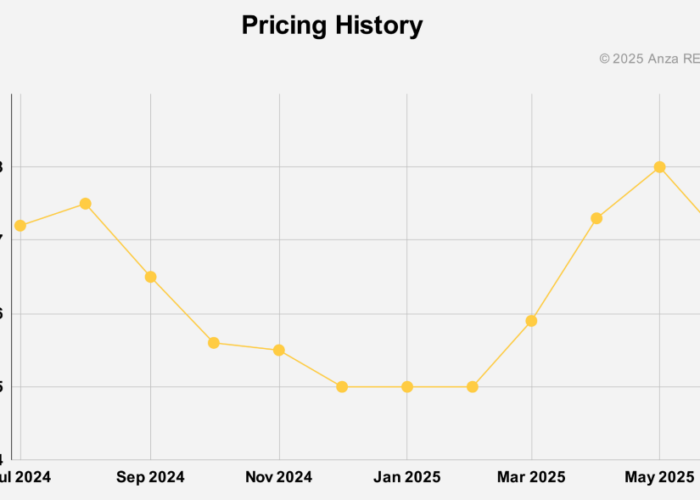 Graph showing average module prices in the US.