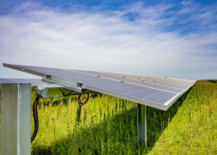 A solar array near Hope, Arkansas. Credit: Ark. Agricultural Experiment Station