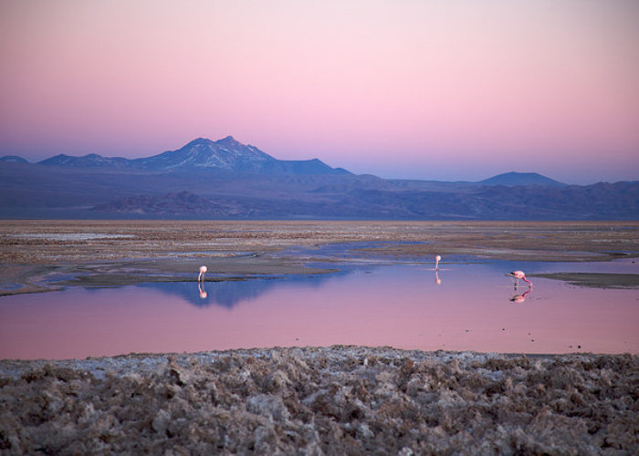 atacama_desert_flickr_nicolas_de_camaret