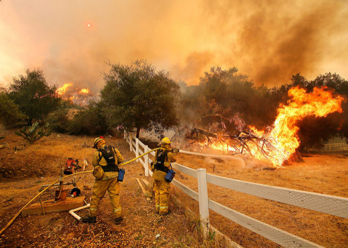 california_wildfire_flickr_Daria_devyatkina