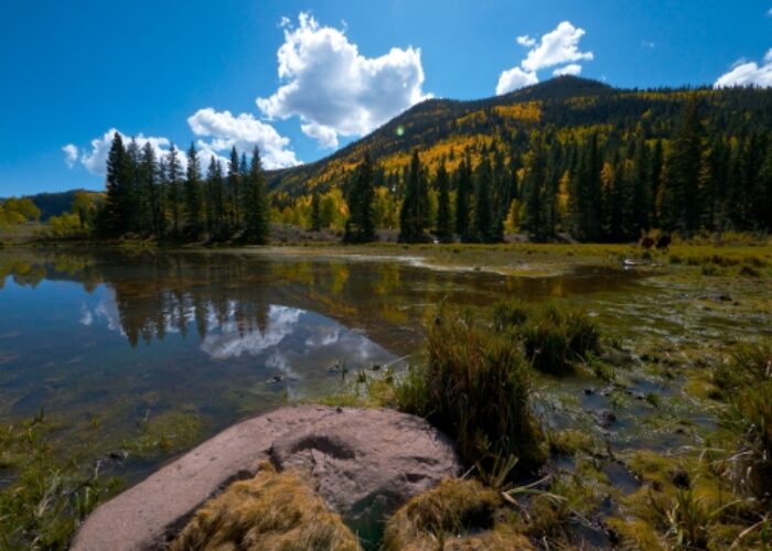 conejos_county_colorado_flickr_michael_c_rael_CROPPED